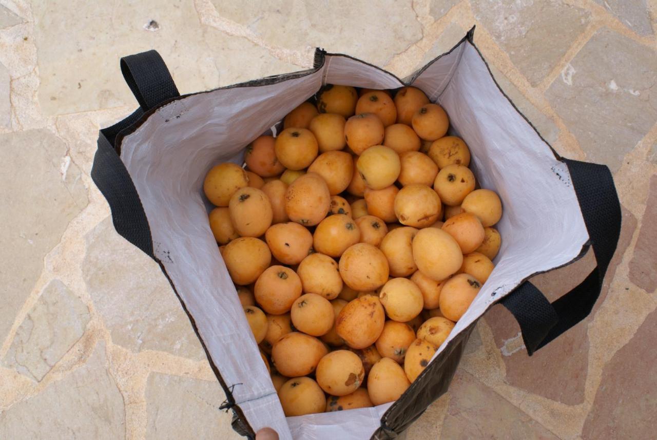 فندق سانت جون دي لابريتجافي  Agroturismo Can Gall المظهر الخارجي الصورة